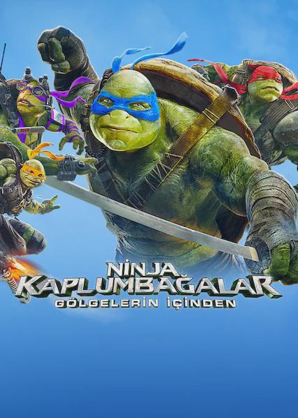 Ninja Kaplumbağalar: Gölgelerin İçinden