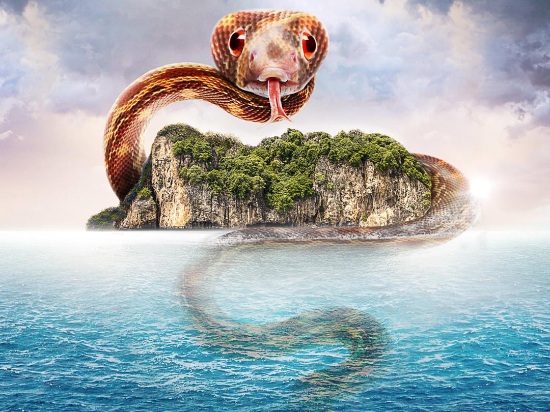 Background image for Treasure Quest: Snake Island