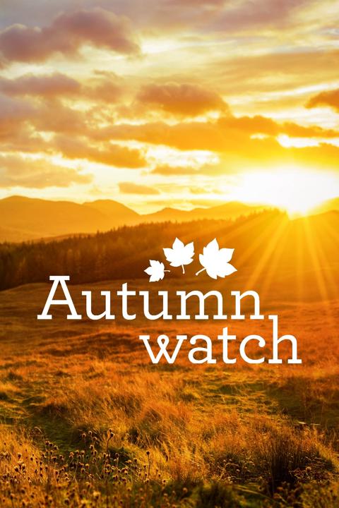 Series poster for Autumnwatch