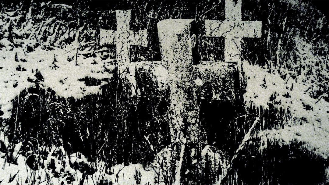 Background image for To Fire You Come at Last