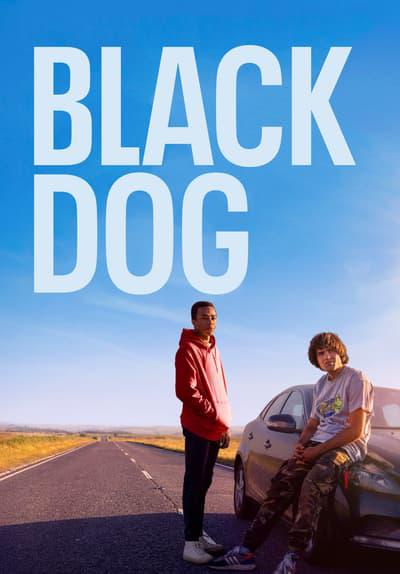 Movie poster for Black Dog