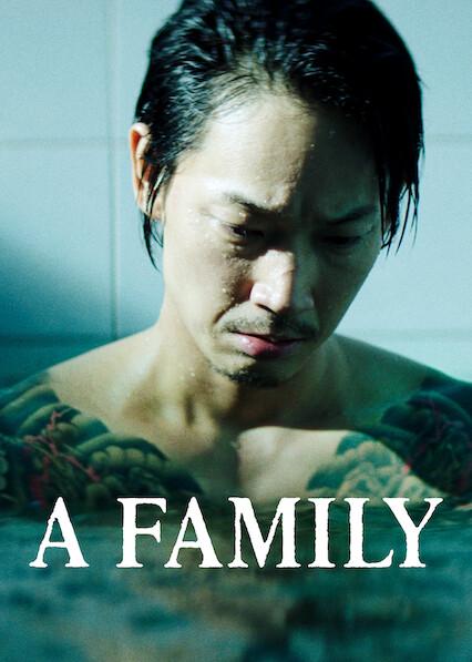 Movie poster for A Family