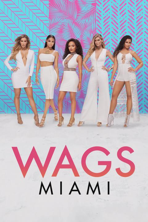 Series poster for WAGS Miami