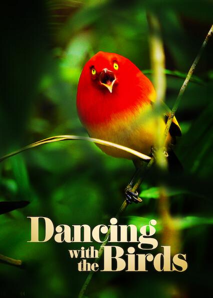 Dancing with the Birds