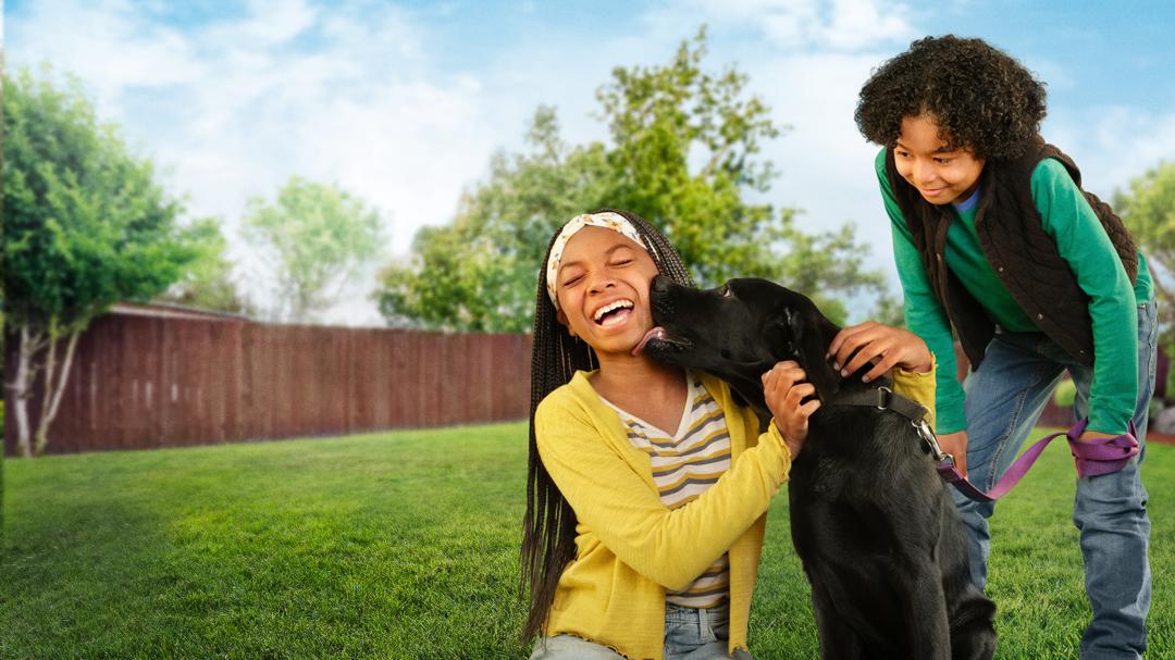 Background image for Puppy Place
