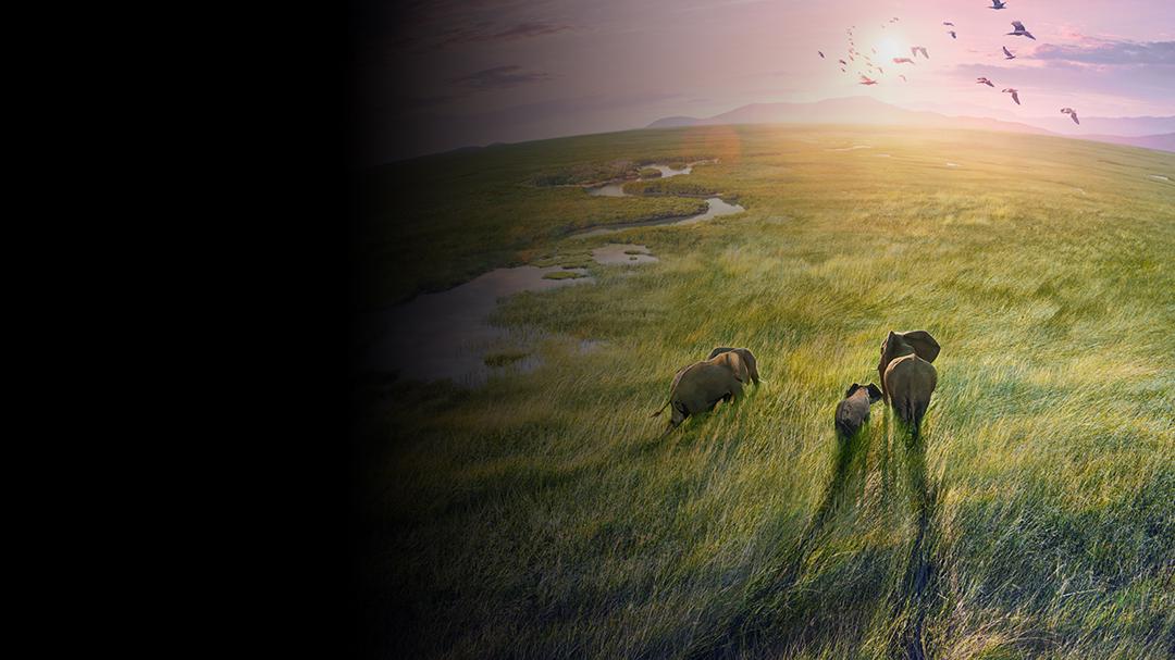 Background image for Planet Earth III