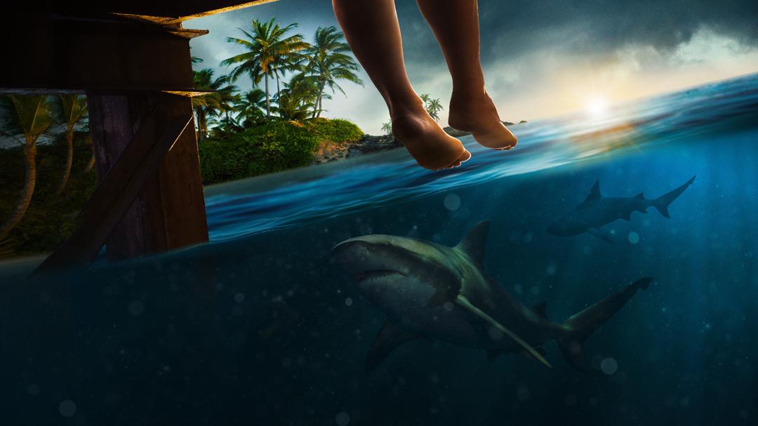 Background image for Great White Open Ocean