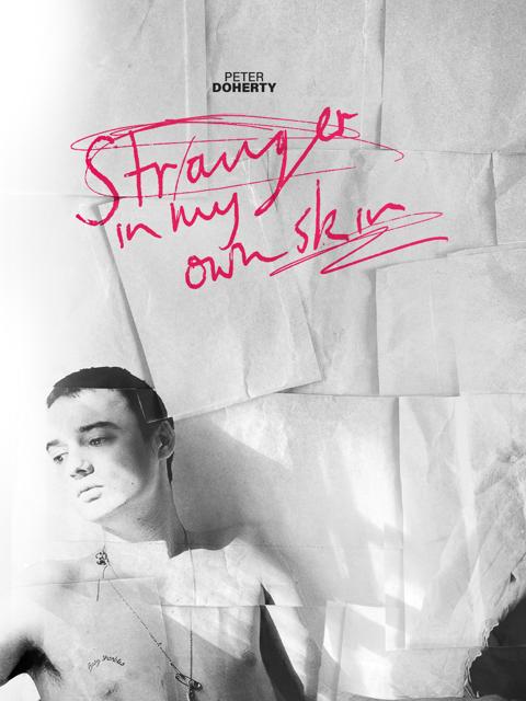 Movie poster for Peter Doherty: Stranger In My Own Skin