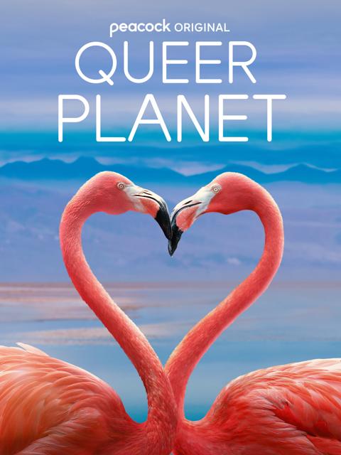Movie poster for Queer Planet