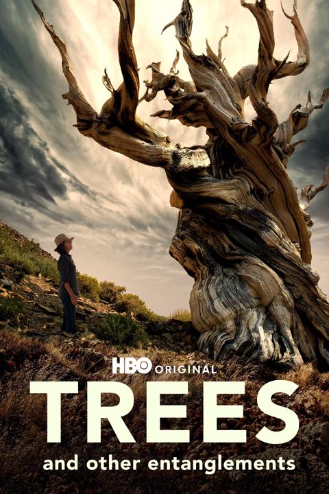 Poster för Trees and Other Entanglements