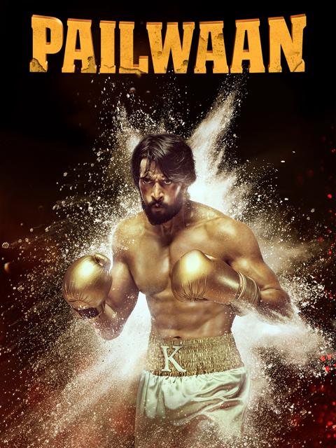 Movie poster for Pailwaan
