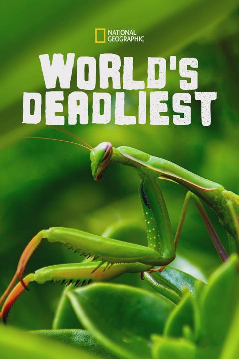 Poster för World's Deadliest