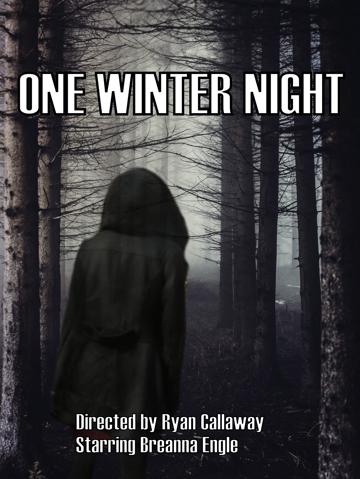 One Winter Night poszter