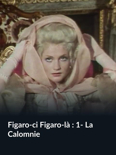 Now Where Did the Seventh Company Get to?