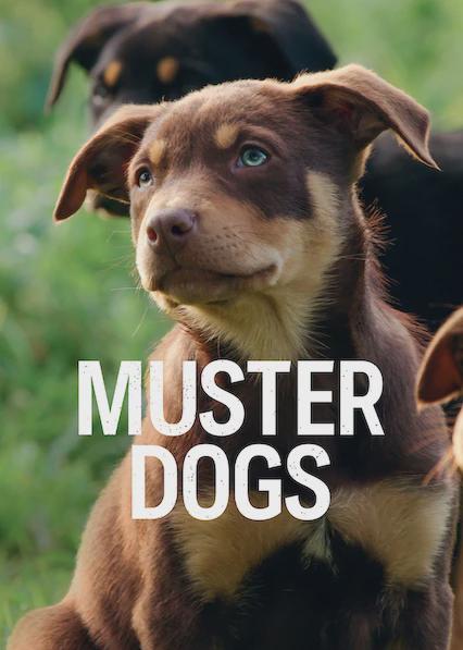 Muster Dogs