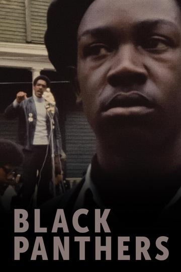 Black Panthers poszter