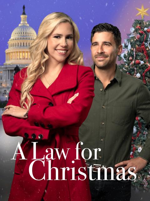Movie poster for A Law for Christmas