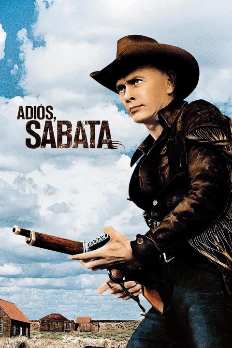 Movie poster for Adiós, Sabata
