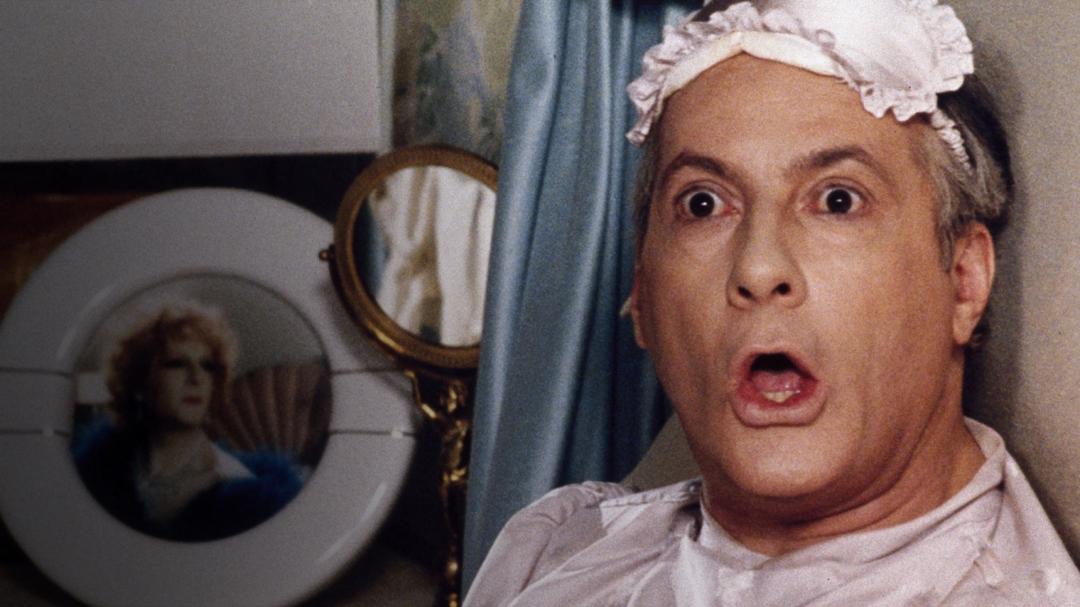 Background image for La Cage aux Folles II