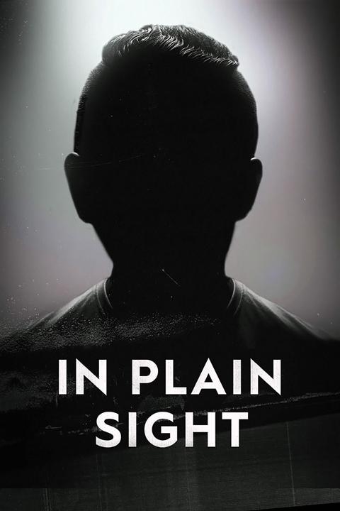 Series poster for In Plain Sight