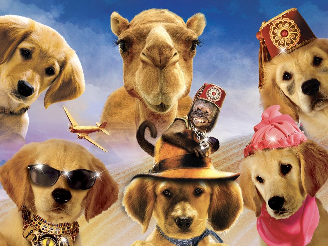 Background image for Treasure Buddies