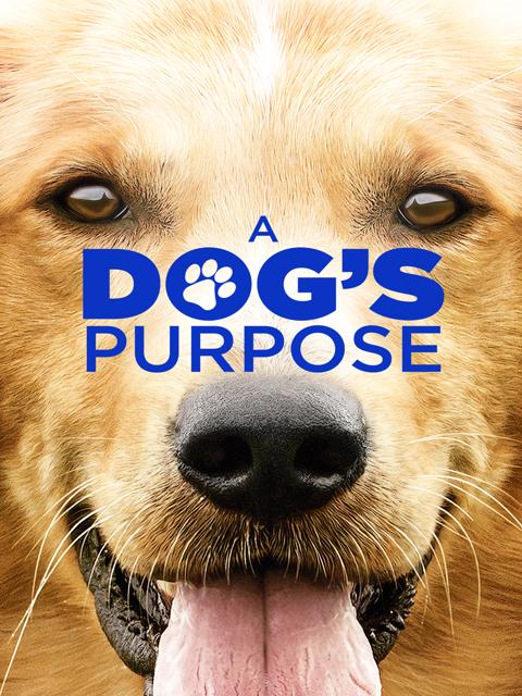 Movie poster for A Dog's Purpose