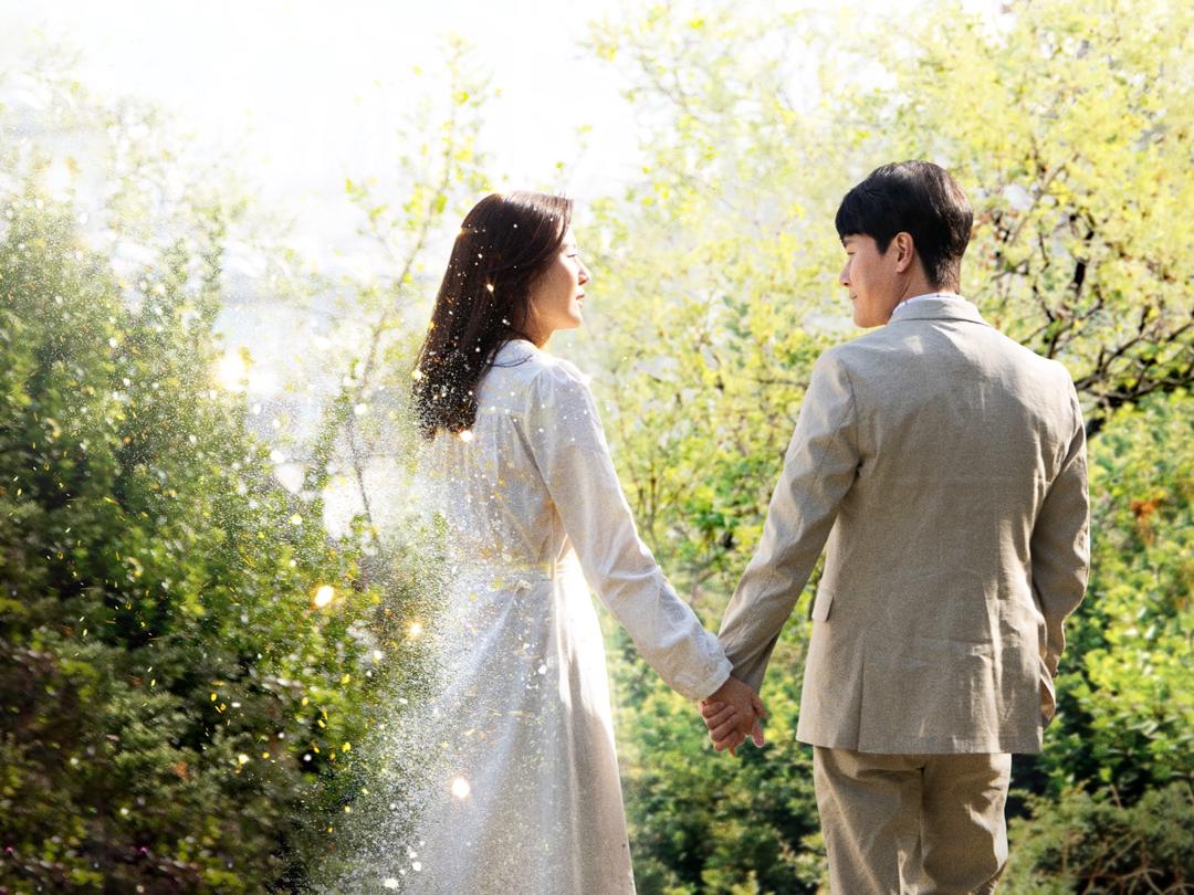Background image for The Wind Blows