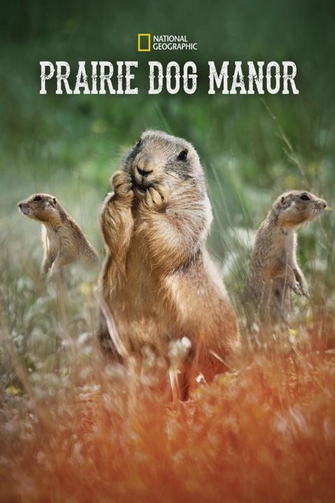 Poster för Prairie Dog Manor