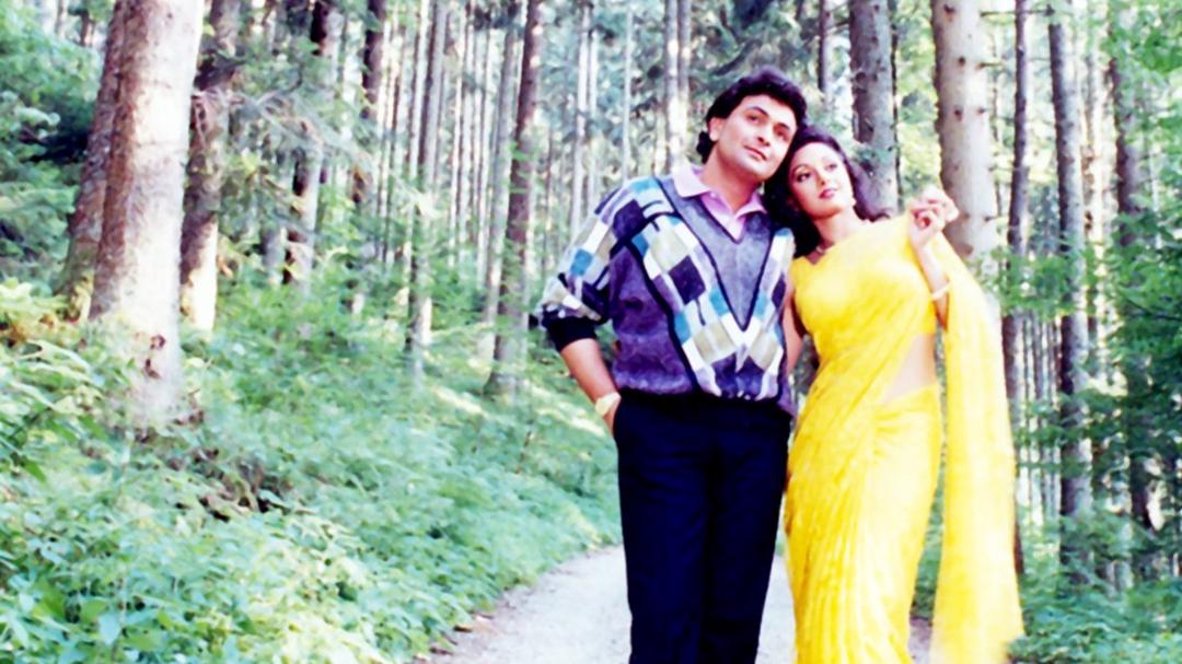 Background image for Chandni