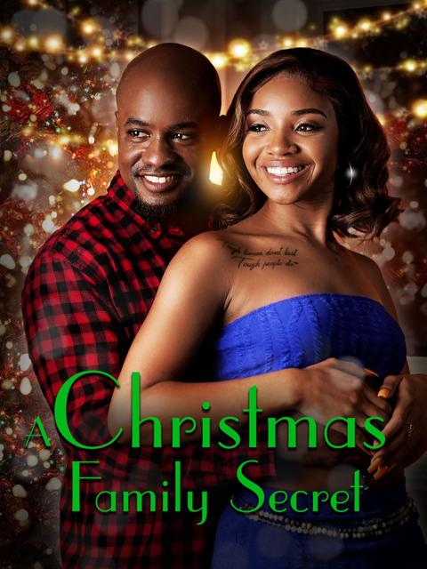 Movie poster for A Christmas Family Secret