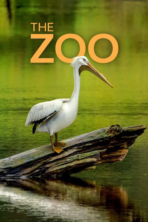 Series poster for The Zoo