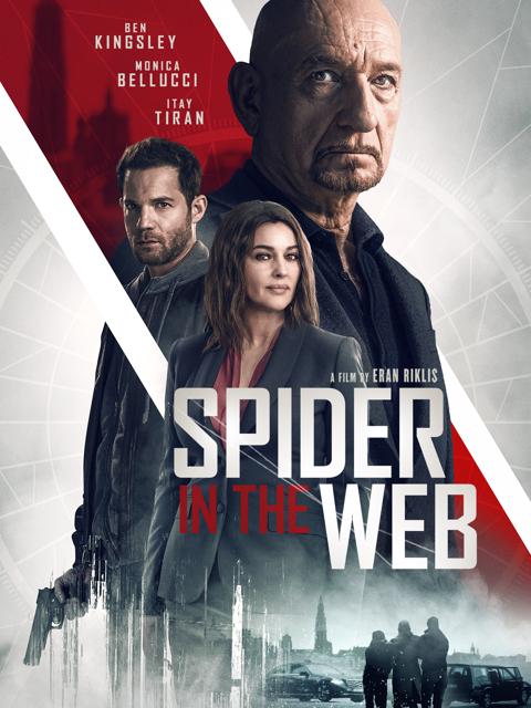 Poster för Spider in the Web