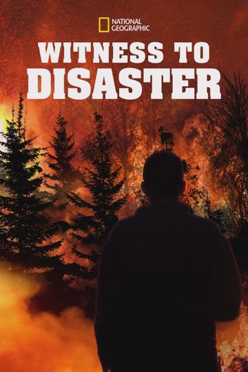 Witness to Disaster poszter
