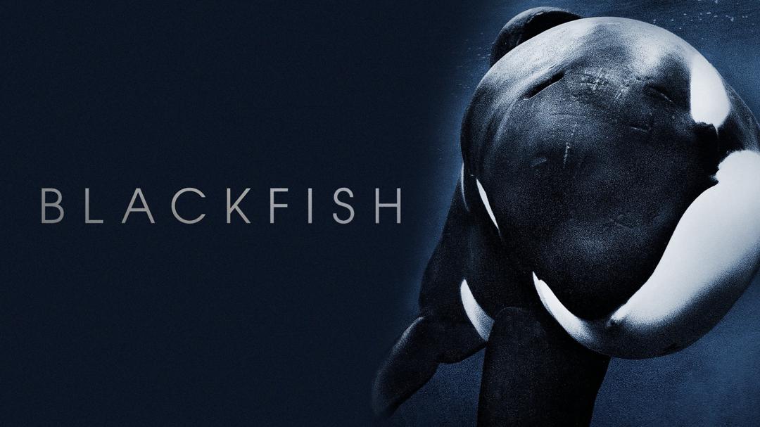 Blackfish