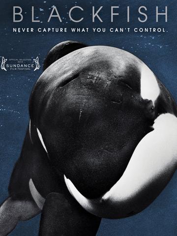 Blackfish — plakat