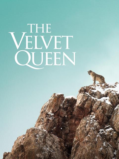The Velvet Queen