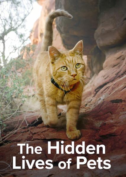 Poster för The Secret Life of Our Pets