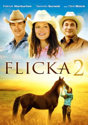 Flicka 2. poszter
