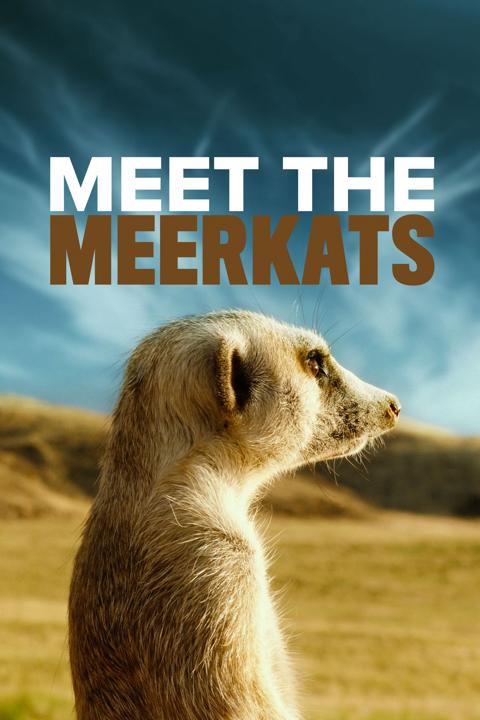 Poster för Meet The Meerkats