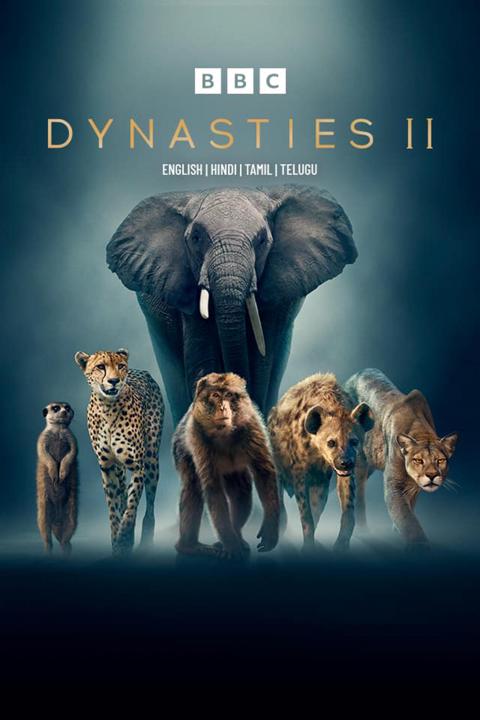 Series poster for Dynasties
