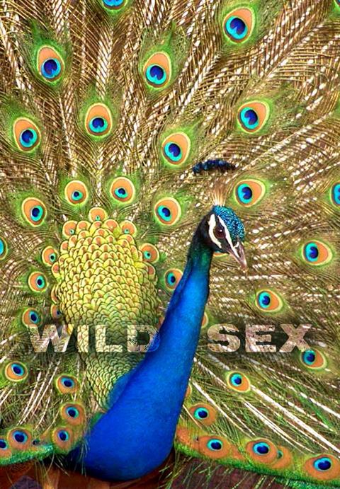 Series poster for Wild Sex