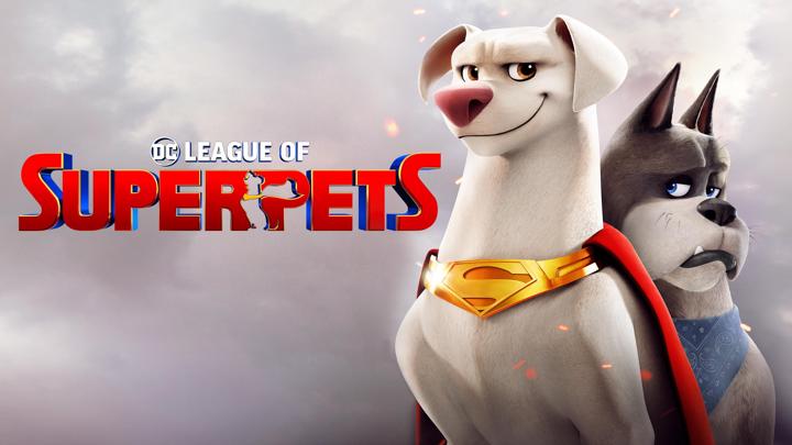 Poster of DC League of Super-Pets