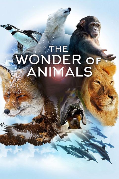 Series poster for The Wonder of Animals