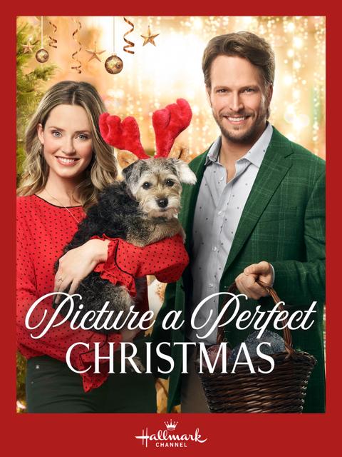 Movie poster for Picture a Perfect Christmas