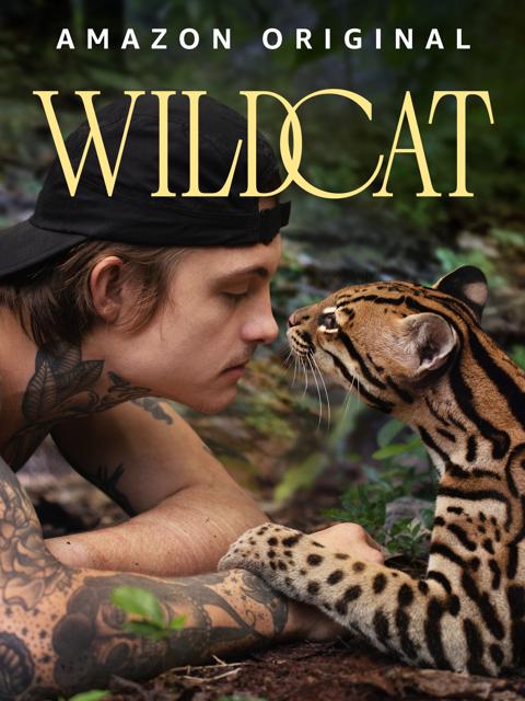 Poster för Wildcat
