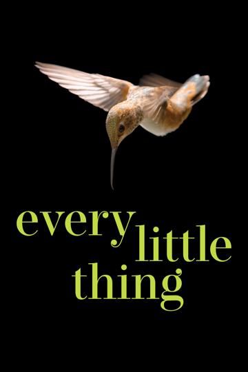 Every Little Thing