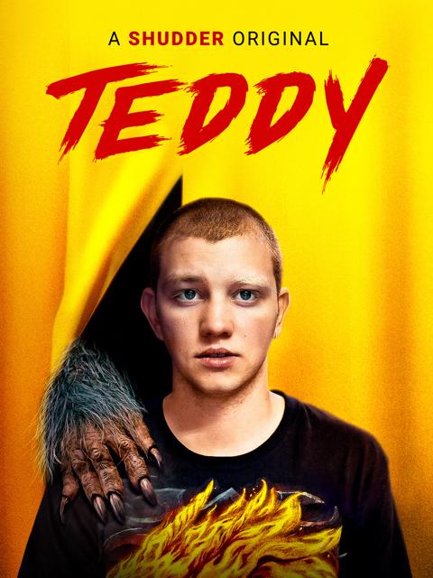 Movie poster for Teddy