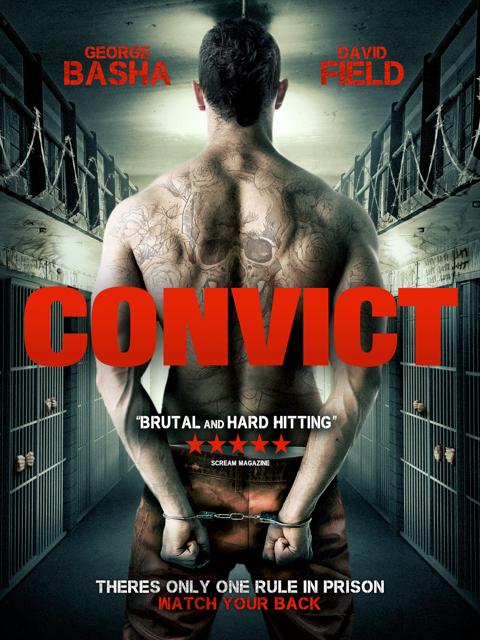 Movie poster for Convict