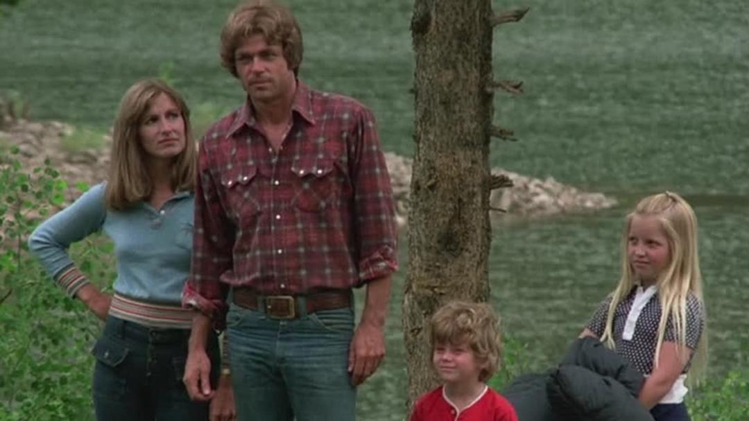 Background image for The Adventures of the Wilderness Family