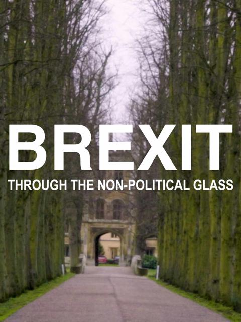 Movie poster for Brexit Through the Non-political Glass